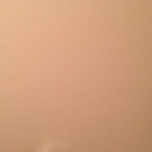 Meet your Posher, Janice